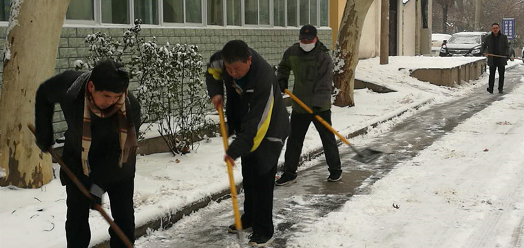 20190214-06.jpg
