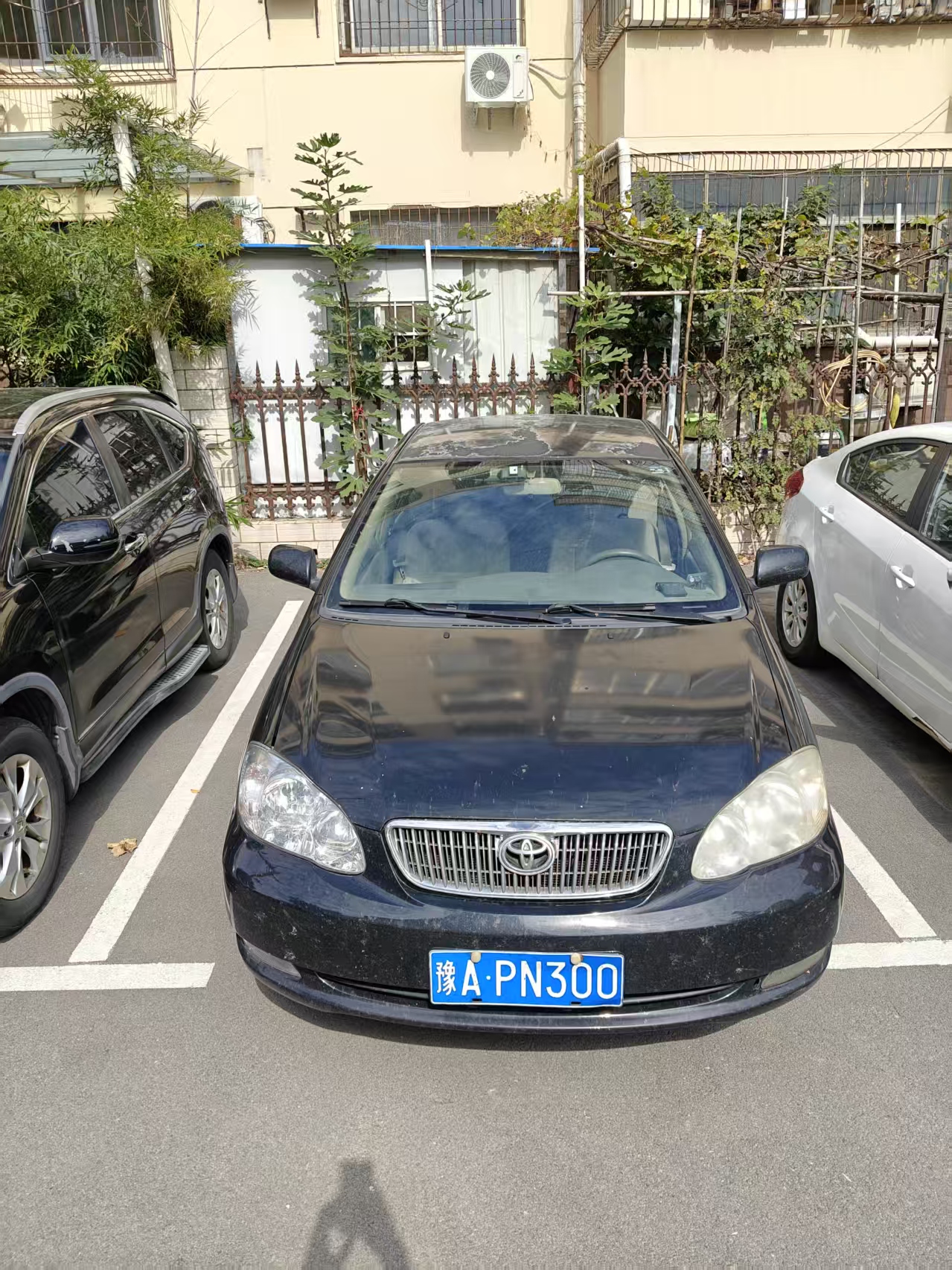 dd6b994f8fa7c3ac6a27d7163e82682e.jpg